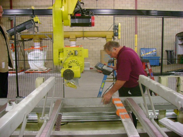 Robotics, palletizing, sorting line